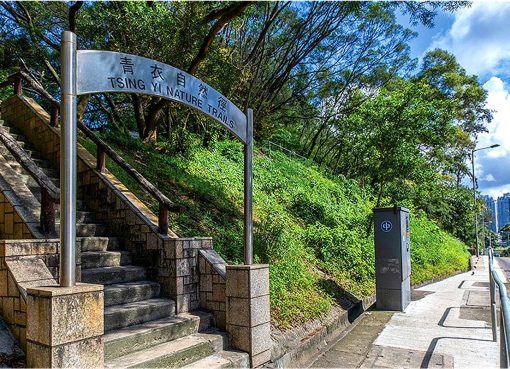 青衣自然徑今晚起暫停向公眾開放  5宗基孔肯雅熱本地患者曾到訪該處