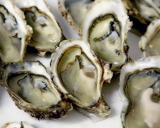 食安中心指示業界暫停進口及出售韓國Seojun Mulsan公司供應的生蠔