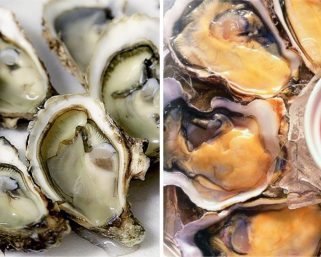 再多2宗食中毒個案共涉及8人  均曾在文華東方酒店快船廊進食生蠔等生食物