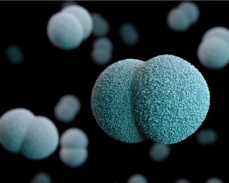 9歲女童感染侵入性腦膜炎雙球菌  目前情況危殆︱曾到日本旅遊